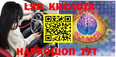 apvp Нальчик