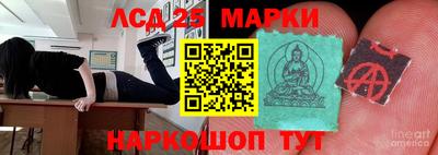 apvp Нальчик