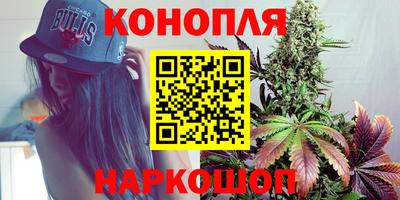 apvp Нальчик
