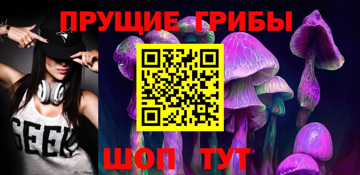 Псилоцибиновые грибы Psilocybe Семёнов